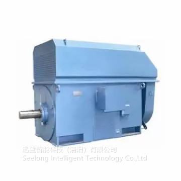 SeeLong 6000 Rpm 0,2% FS Lực kế mô-men xoắn